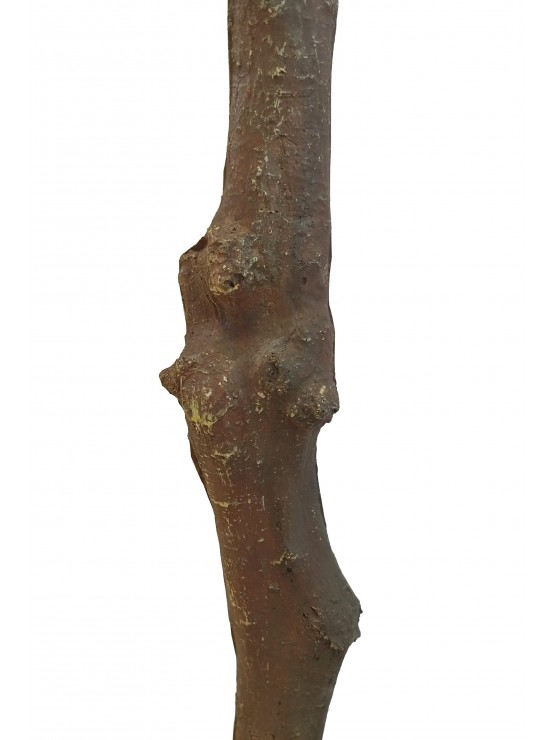 Árvore Amendoeira Rosa Artificial 200cm