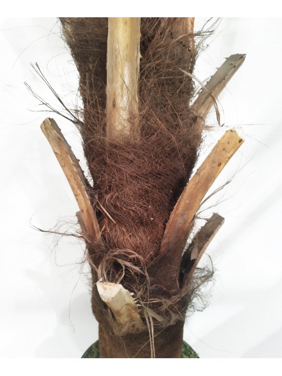 Palmeira Phoenix Artificial 250cm