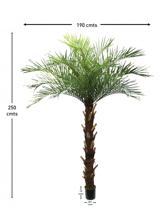Palmeira Phoenix Artificial 250cm
