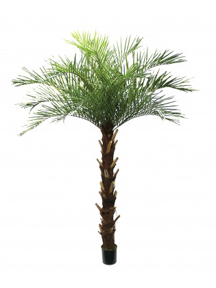 Palmeira Phoenix Artificial 250cm