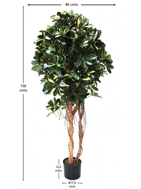 Árvore Cheflera Artificial com Tronco Natural 150cm