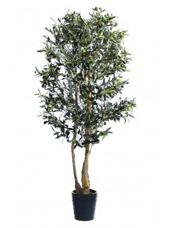 Oliveira Artificial com Tronco Natural 200cm