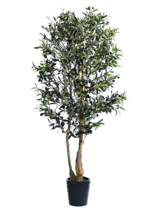 Oliveira Artificial com Tronco Natural 200cm