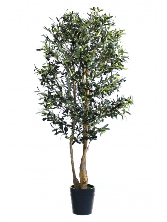 Oliveira Artificial com Tronco Natural 200cm