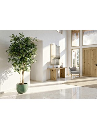 Árvore Acácia Artificial com Tronco Natural 180cm