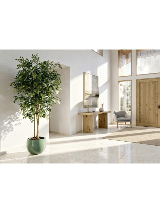 Árvore Acácia Artificial com Tronco Natural 180cm