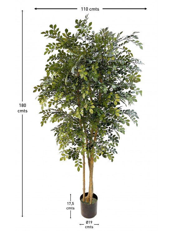 Árvore Acácia Artificial com Tronco Natural 180cm