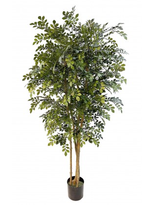 Árvore Acácia Artificial com Tronco Natural 180cm