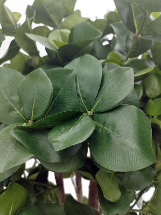 Árvore Clusia Artificial com Tronco Natural 150cm