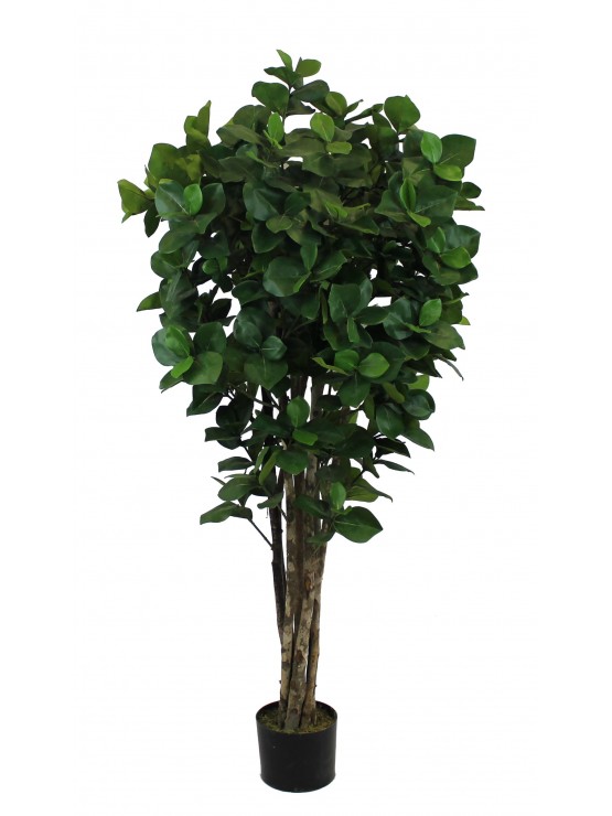 Árvore Clusia Artificial com Tronco Natural 150cm