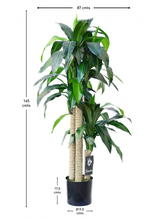 Árvore Dracena Artificial 150cm