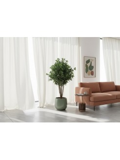 Árvore Pittosporum Artificial com Tronco Natural 120cm