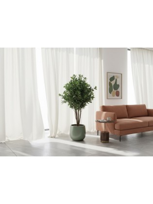 Árvore Pittosporum Artificial com Tronco Natural 120cm