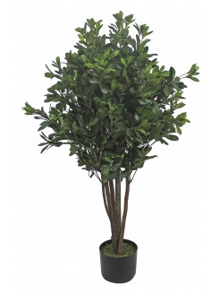 Árvore Pittosporum Artificial com Tronco Natural 120cm