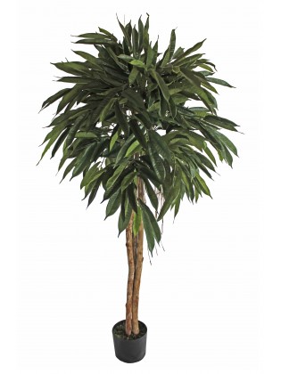 Árvore Longifolia Artificial com Tronco Natural 150cm