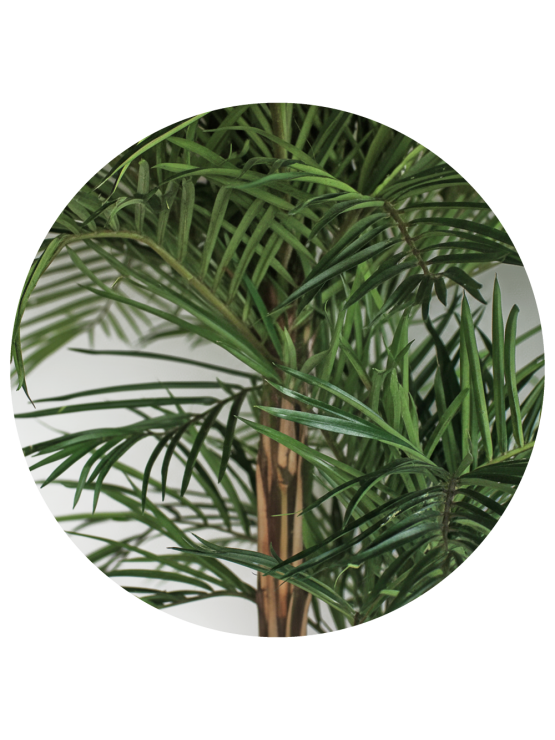 Palmeira Phoenix Artificial 210cm