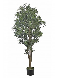 Oliveira Artificial com Tronco Natural 150cm