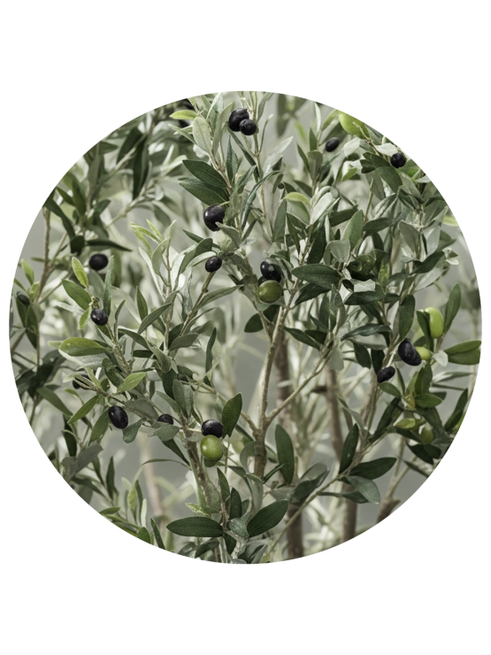 Oliveira Artificial 400cm