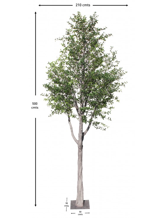 Árvore Ziziphus Artificial 500cm