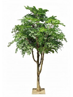 Árvore Amur Artificial 300cm