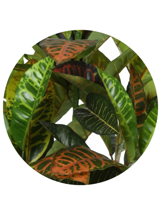 Árvore Croton Artificial 77cm