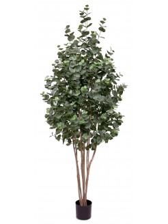 Árvore Eucalipto Artificial com Tronco Natural 210cm