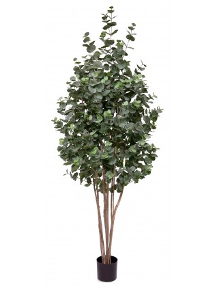 Árvore Eucalipto Artificial com Tronco Natural 210cm