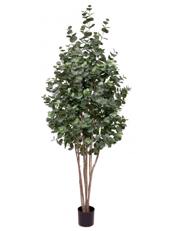 Árvore Eucalipto Artificial com Tronco Natural 210cm
