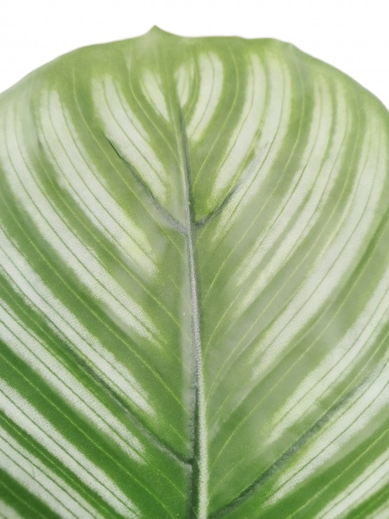 Vaso Calathea Artificial 80cm