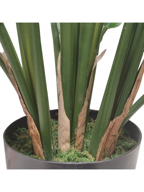 Vaso Calathea Artificial 80cm