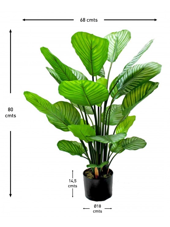 Vaso Calathea Artificial 80cm