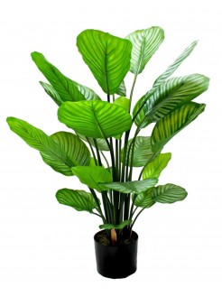 Vaso Calathea Artificial 80cm