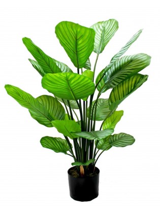 Vaso Calathea Artificial 80cm