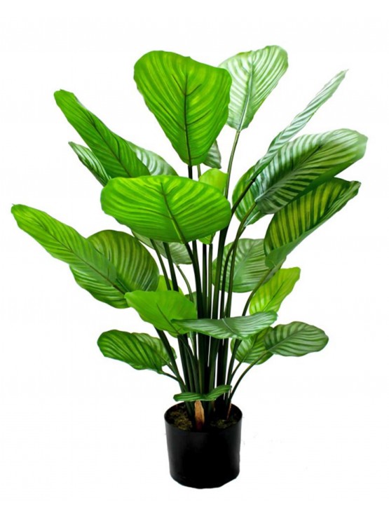 Vaso Calathea Artificial 80cm