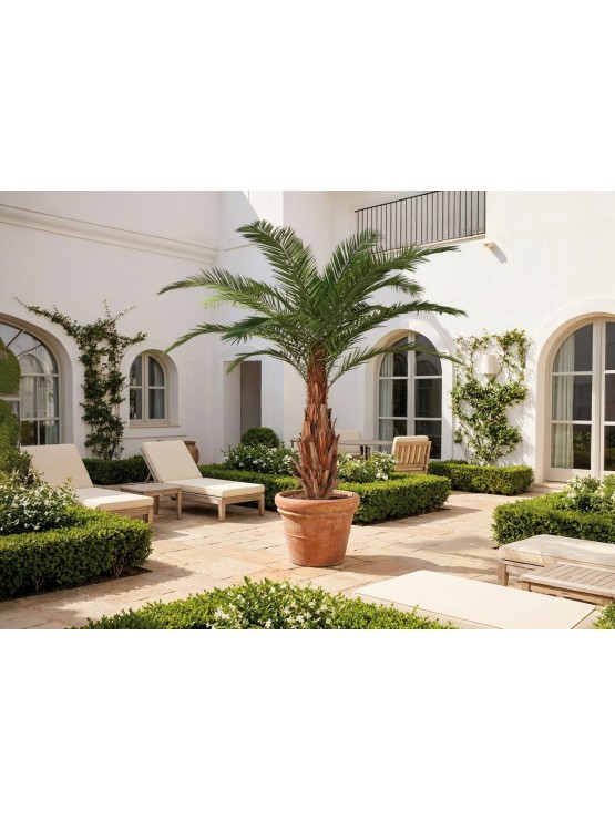 Palmeira Majesty Artificial Exterior 350cm