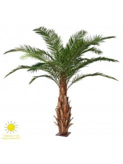 Palmeira Majesty Artificial Exterior 350cm