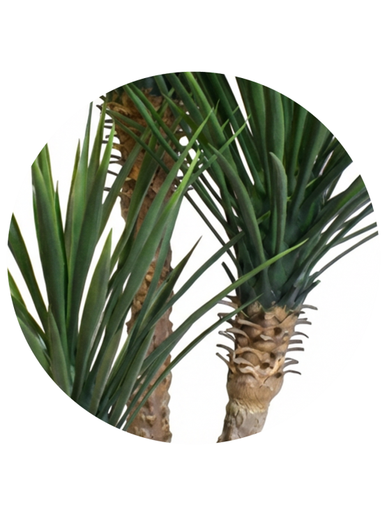 Árvore Yucca Artificial 3 Talos Exterior 150cm