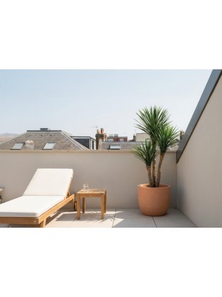 Árvore Yucca Artificial 3 Talos Exterior 150cm