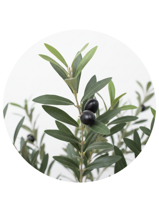 Oliveira Artificial Exterior 250cm