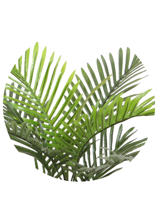 Palmeira Areca Artificial Exterior 60cm