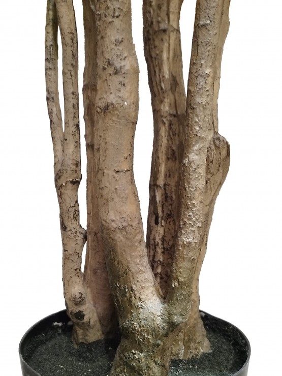 Árvore Aralia Fabian Artificial 200cm