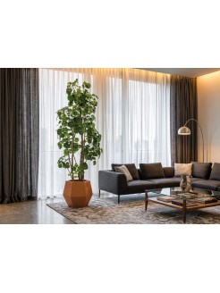 Árvore Aralia Fabian Artificial 200cm