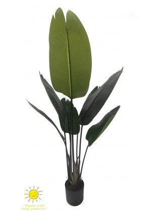 Planta Ave do Paraíso Artificial Exterior 120cm