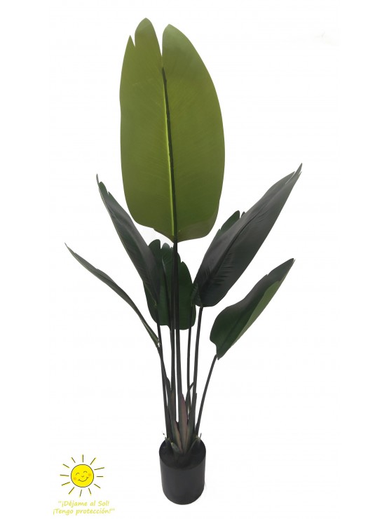 Planta Ave do Paraíso Artificial Exterior 120cm
