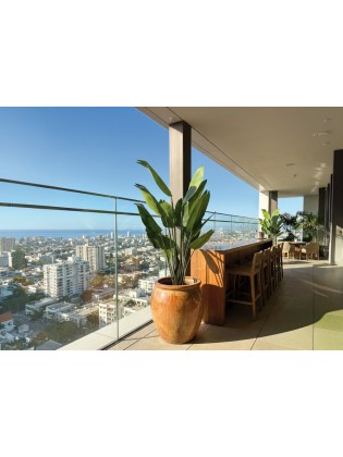 Planta Ave do Paraíso Artificial Exterior 180cm