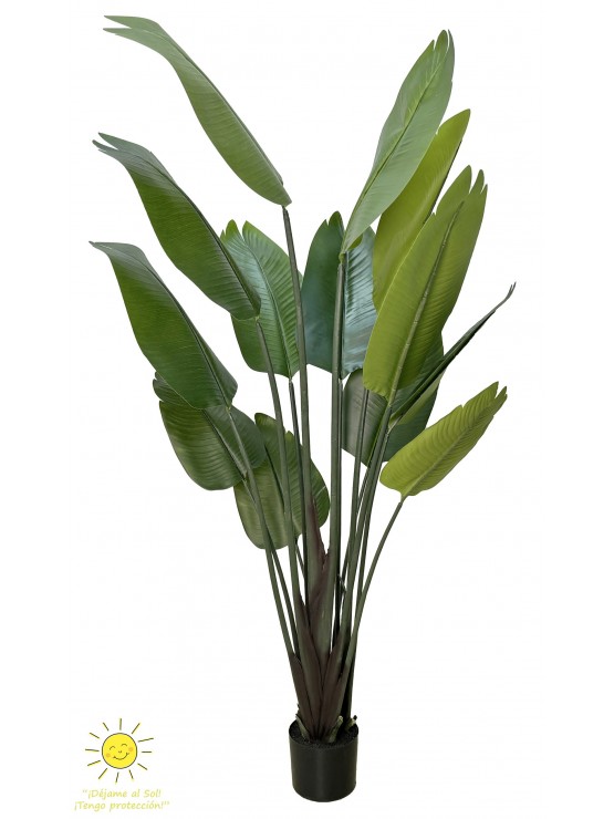 Planta Ave do Paraíso Artificial Exterior 180cm