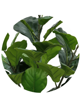 Árvore Ficus Lyrata Artificial Exterior 120cm