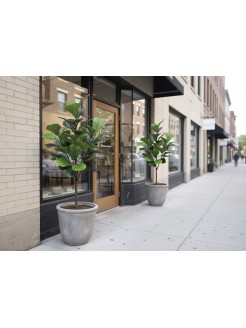 Árvore Ficus Lyrata Artificial Exterior 120cm
