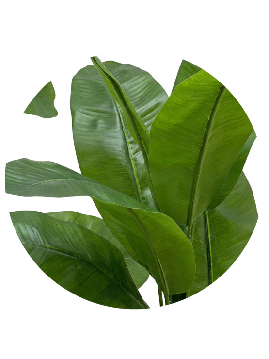 Árvore Bananeira Artificial Exterior 200cm