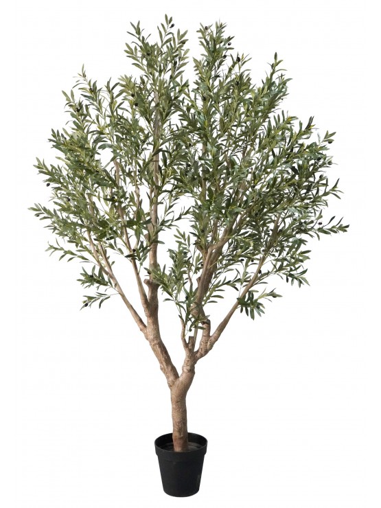 Oliveira Artificial 2 250cm